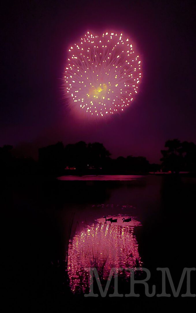 A purple firework is in the sky over water.