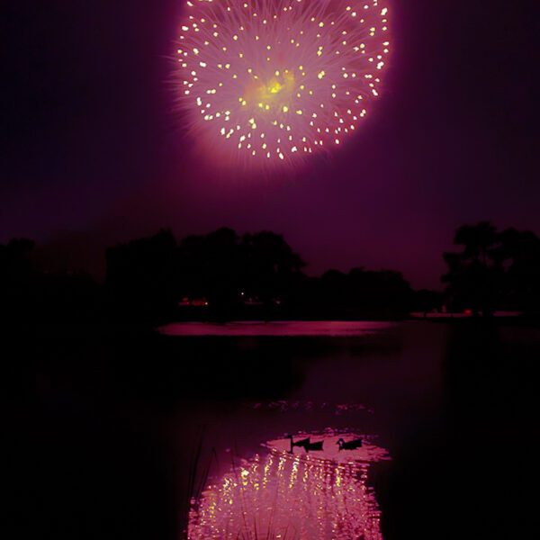 An Austin firework in the sky over a lake.