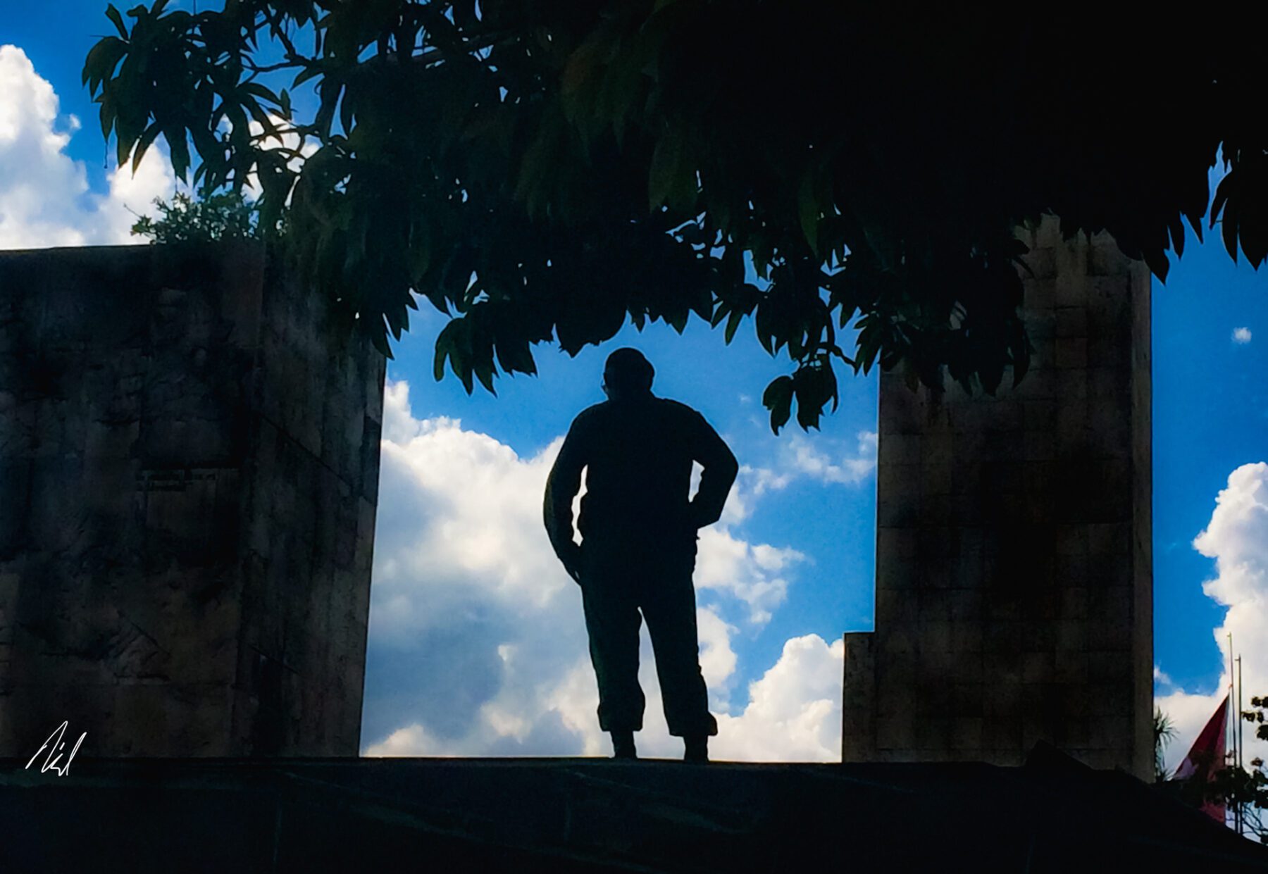 A silhouette of a man standing under a Cuba tree.