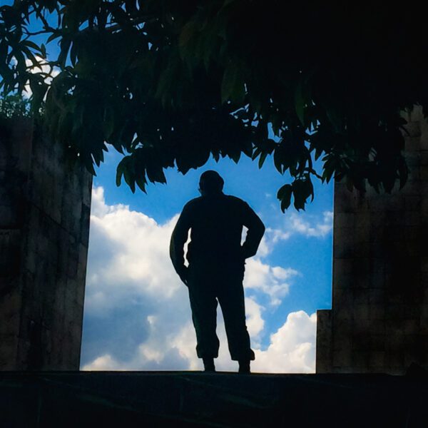 A silhouette of a man standing under a Cuba tree.