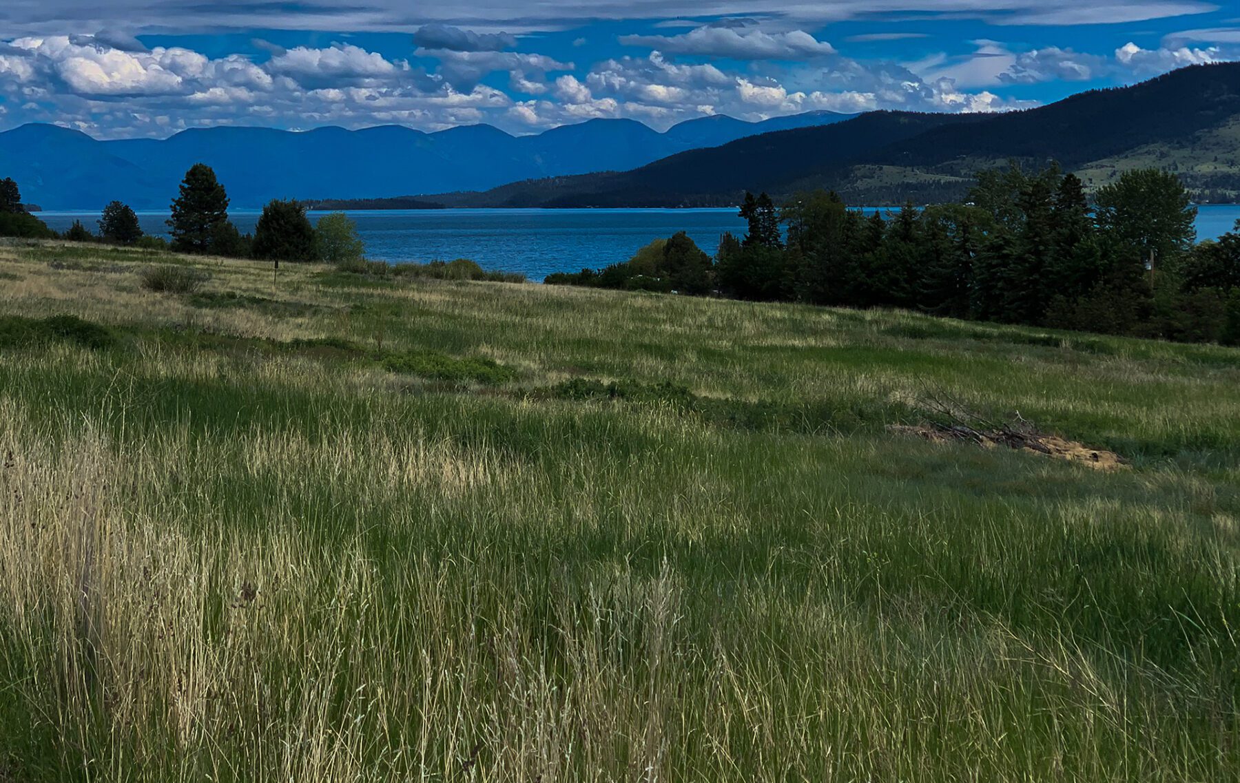 A grassy field with a lake and mountains in the background.