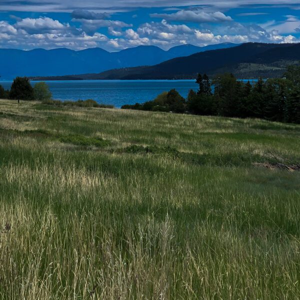 A grassy field with a lake and mountains in the background.