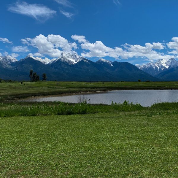 A Montana field with a pond and mountains in the background.