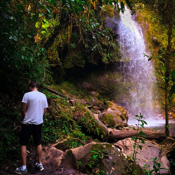 A man wearing a Panama hat standing in front of a waterfall in the jungle.